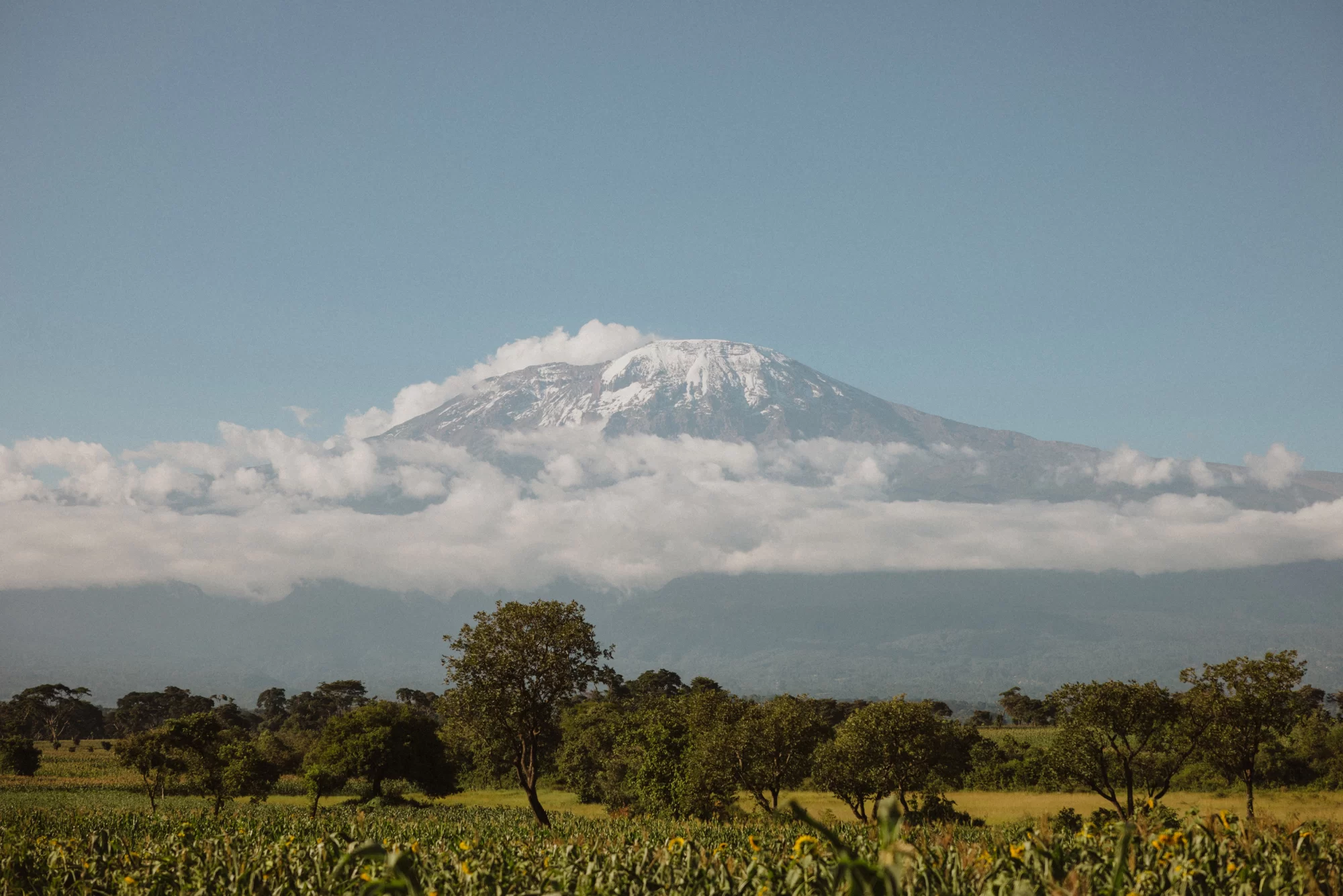 When Is the Best Time to Summit Kilimanjaro in 2025? Climb Kilimanjaro